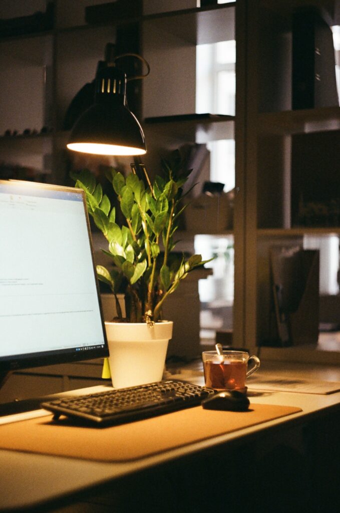 best monitor arms for home offices